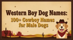 Western Boy Dog Names: